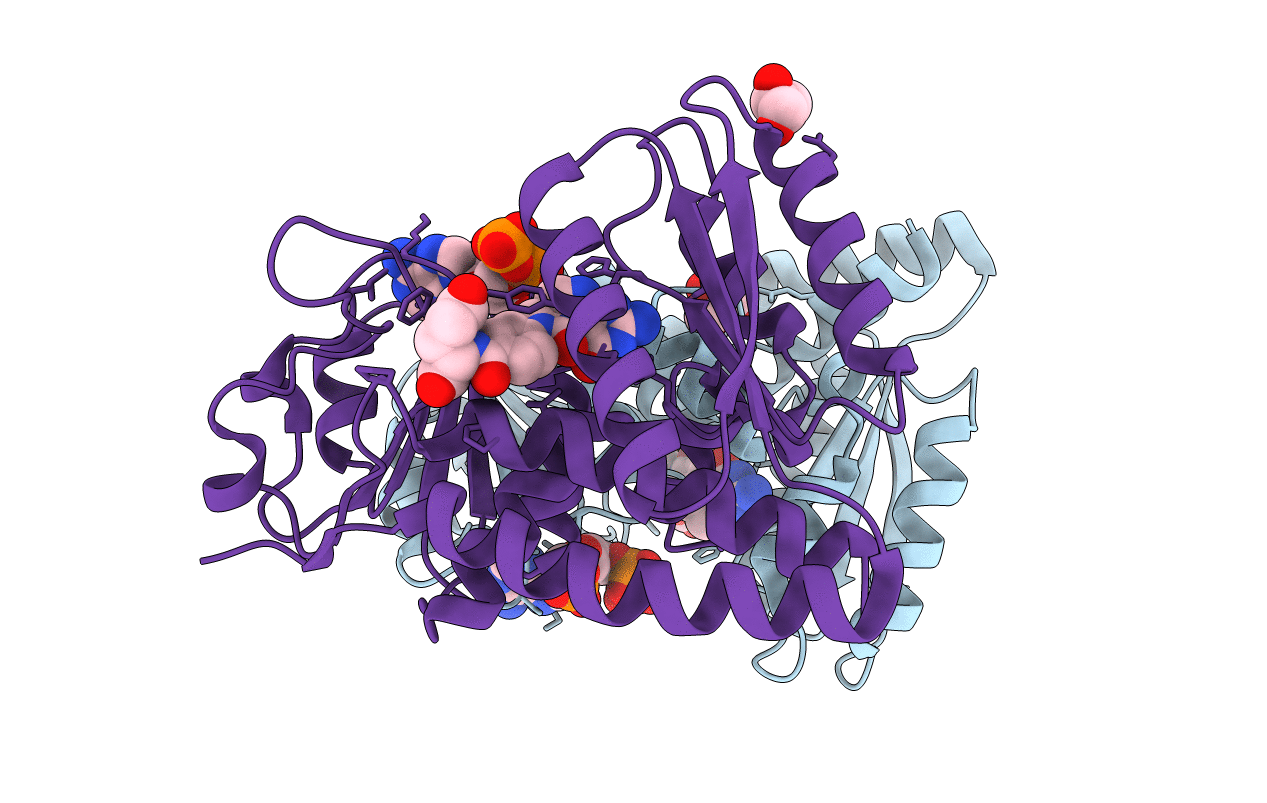 4B4V image