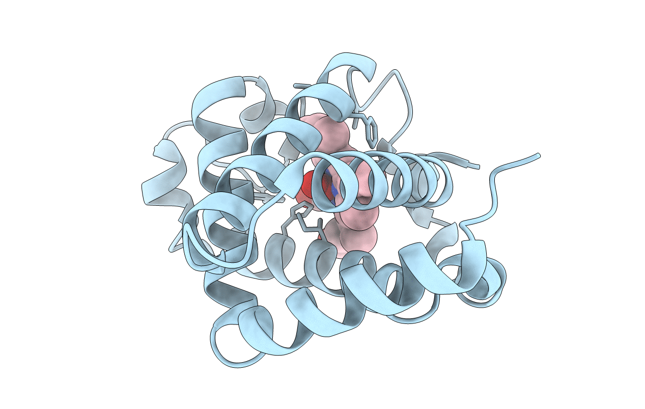 4B4Y image