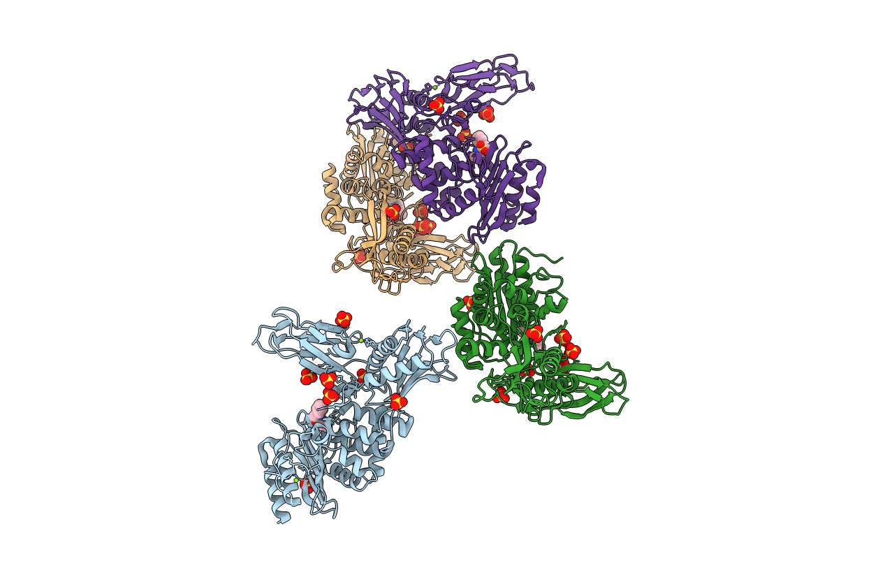 4B4Z image