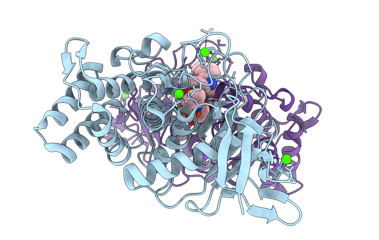 4B52 image
