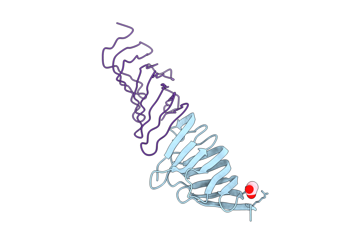 4B54 image