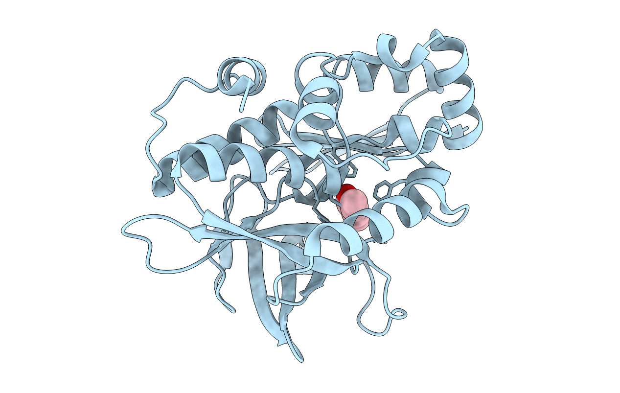 4B55 image