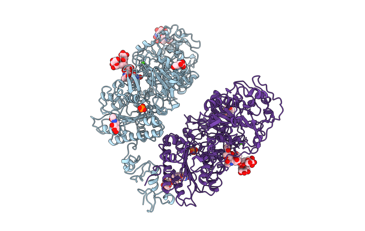4B56 image
