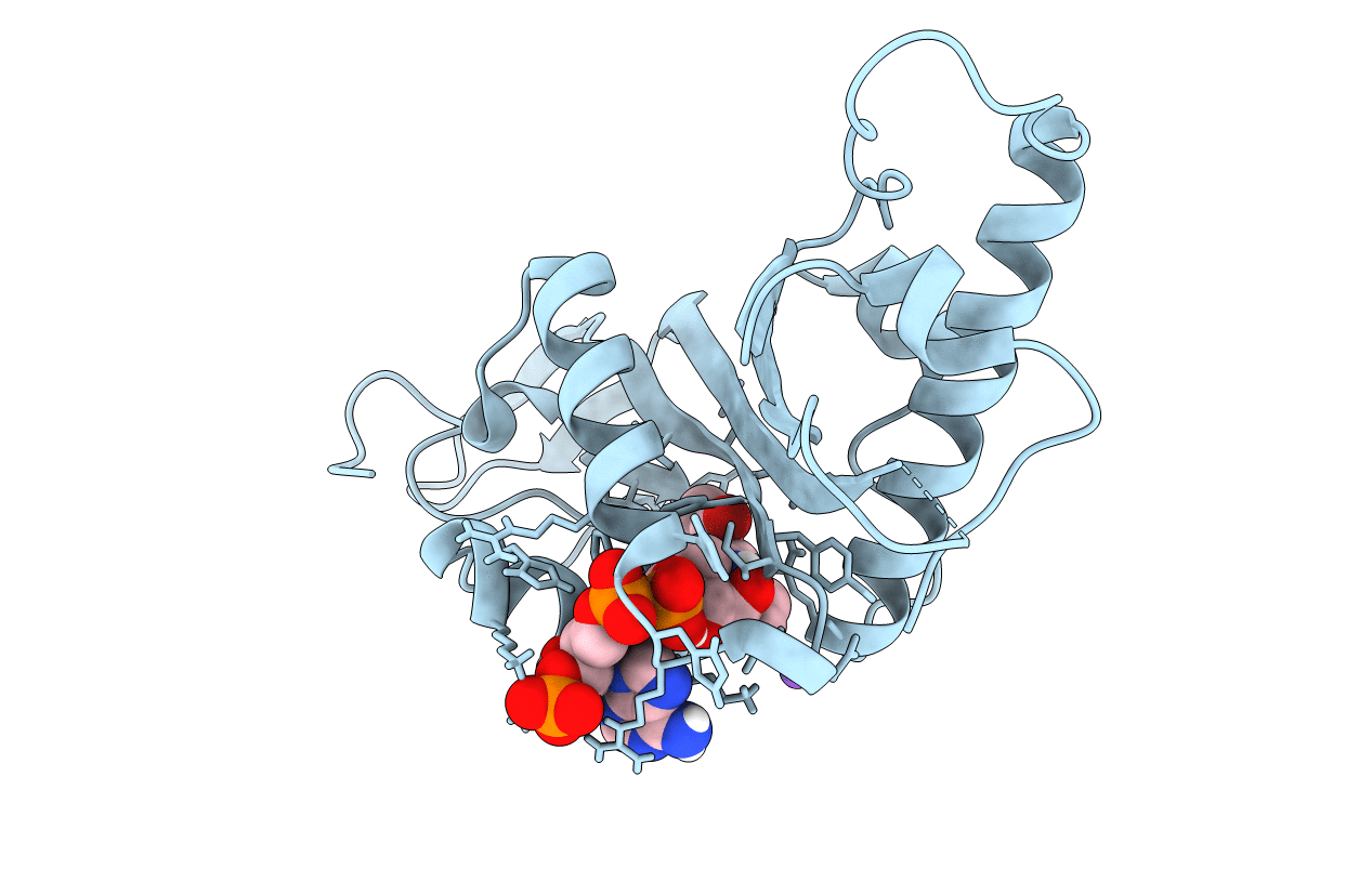 4B5O image