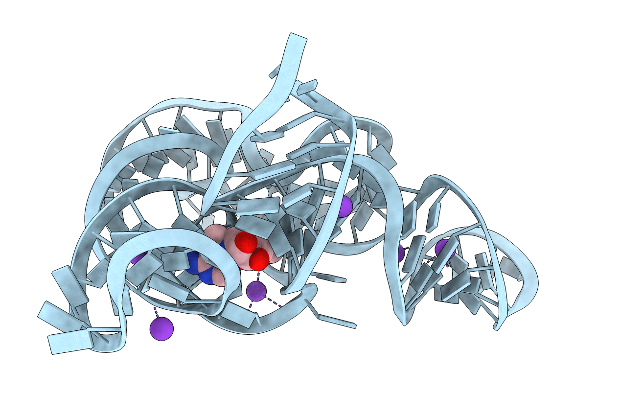 4B5R image