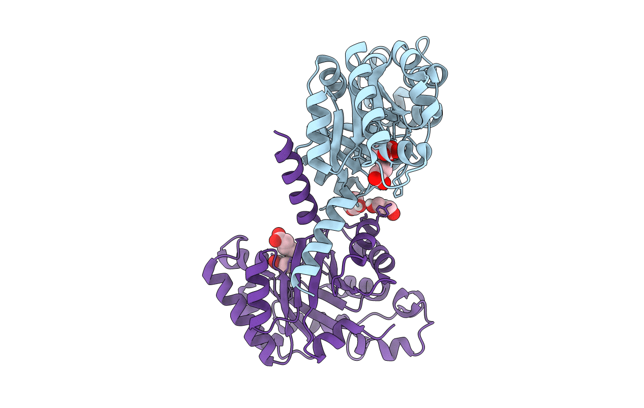 4B5U image