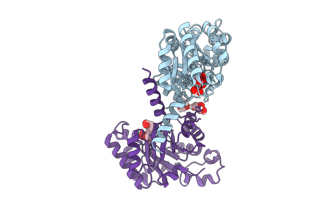 4B5V image