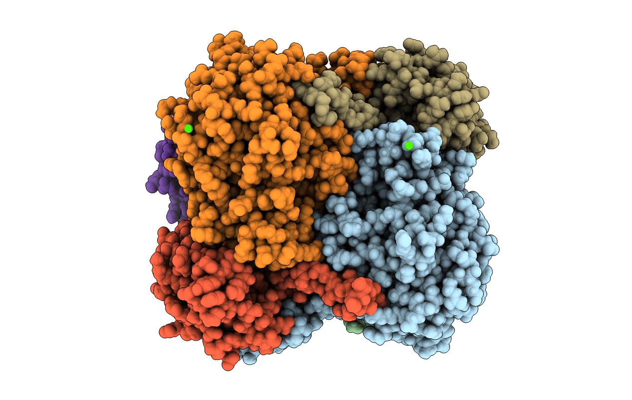 4B5W image