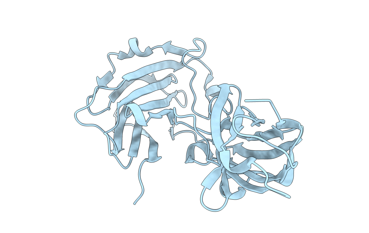 4B5Z image