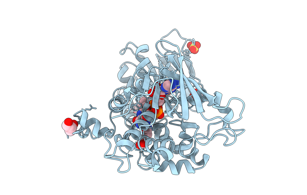 4B69 image