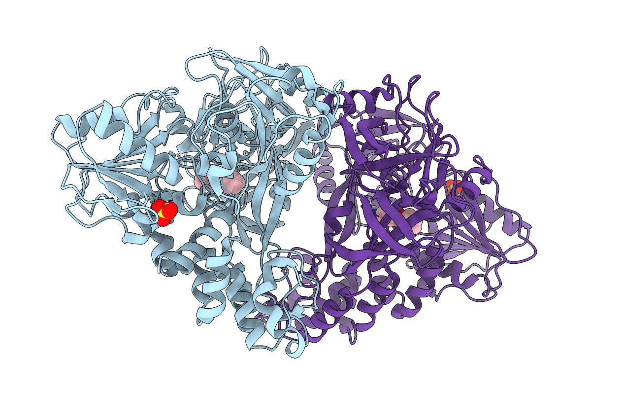 4B6F image