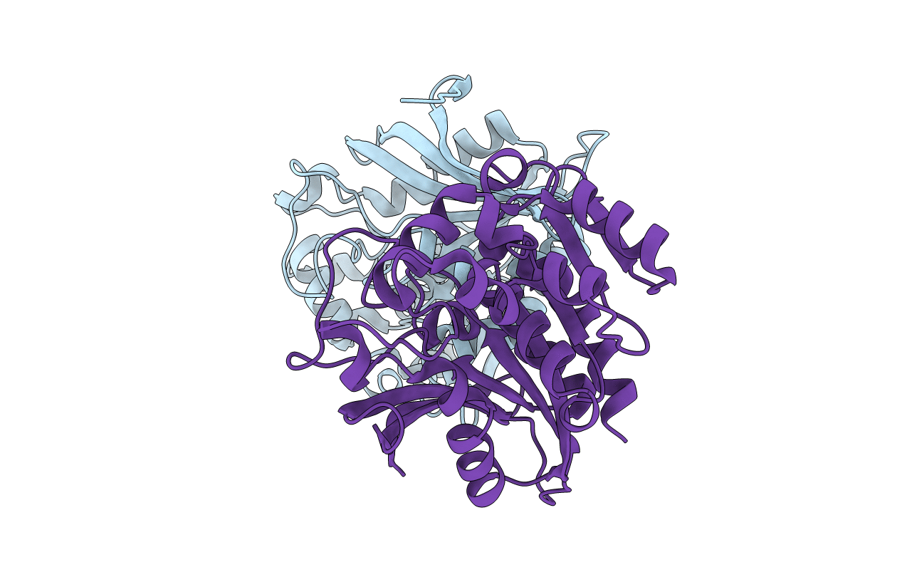 4B6G image