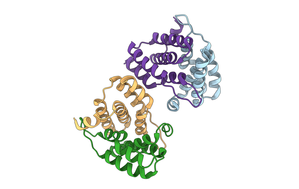 4B6I image