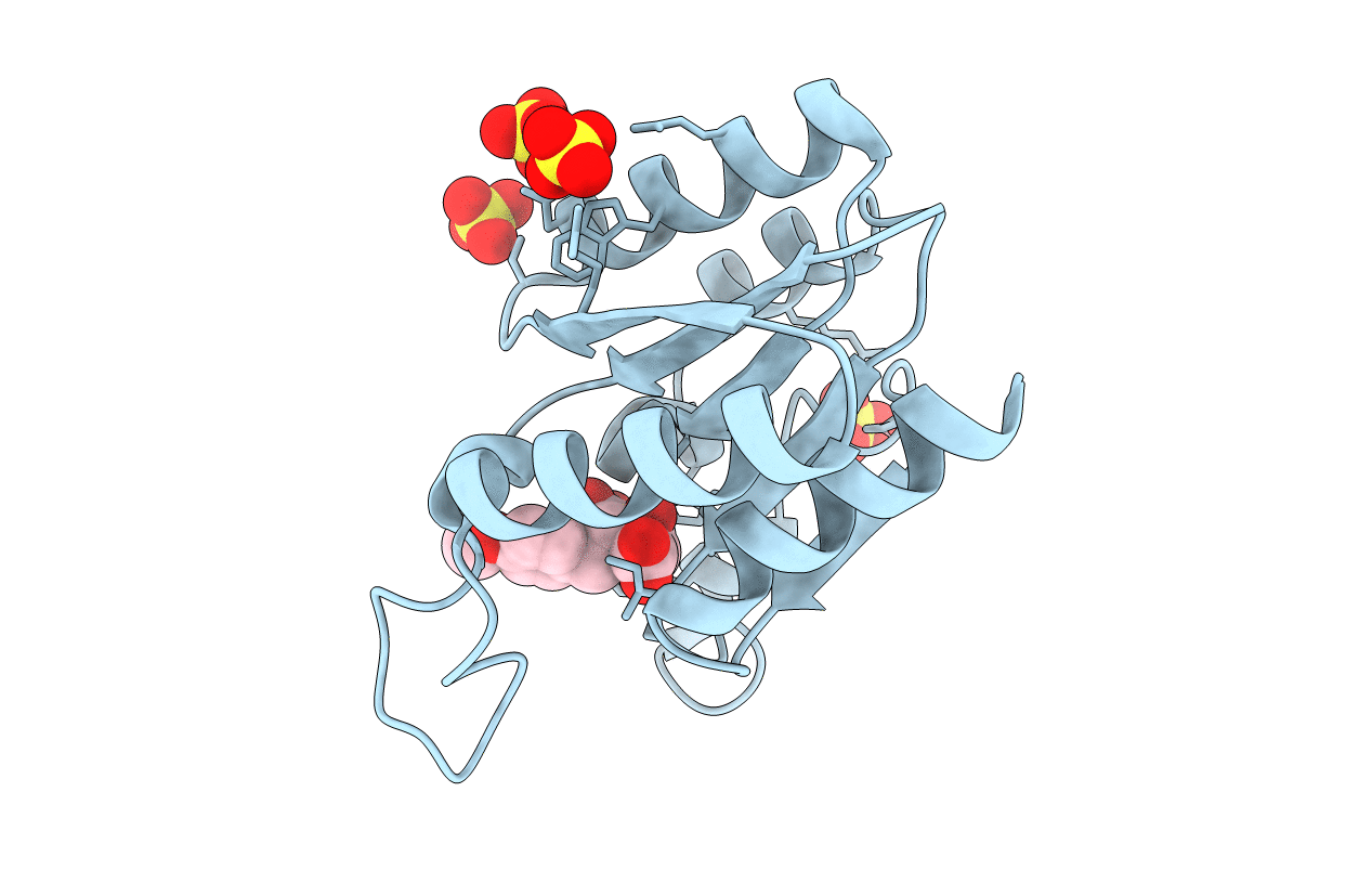 4B6O image