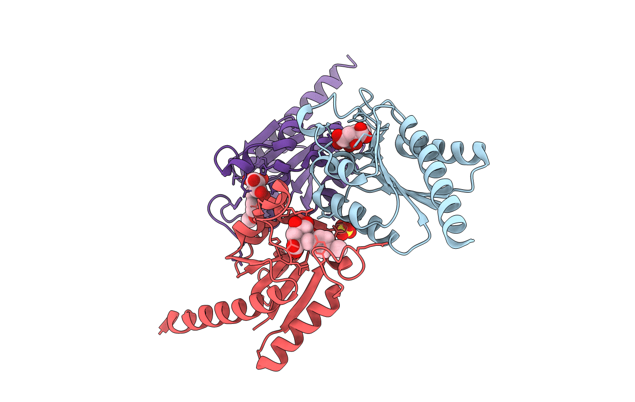 4B6R image