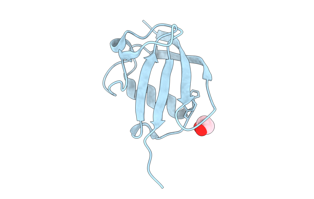4B6W image