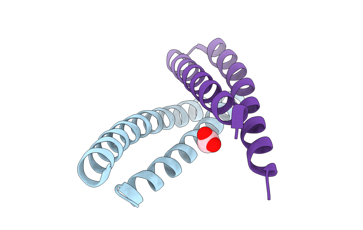 4B6X image