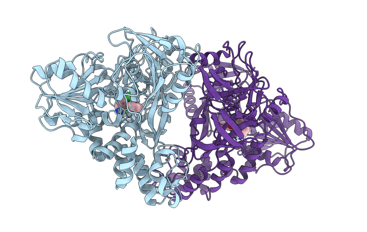 4B71 image