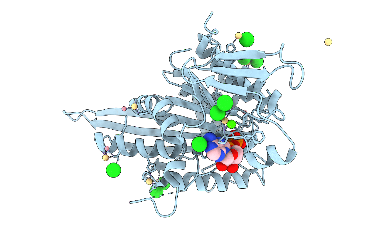 4B7B image