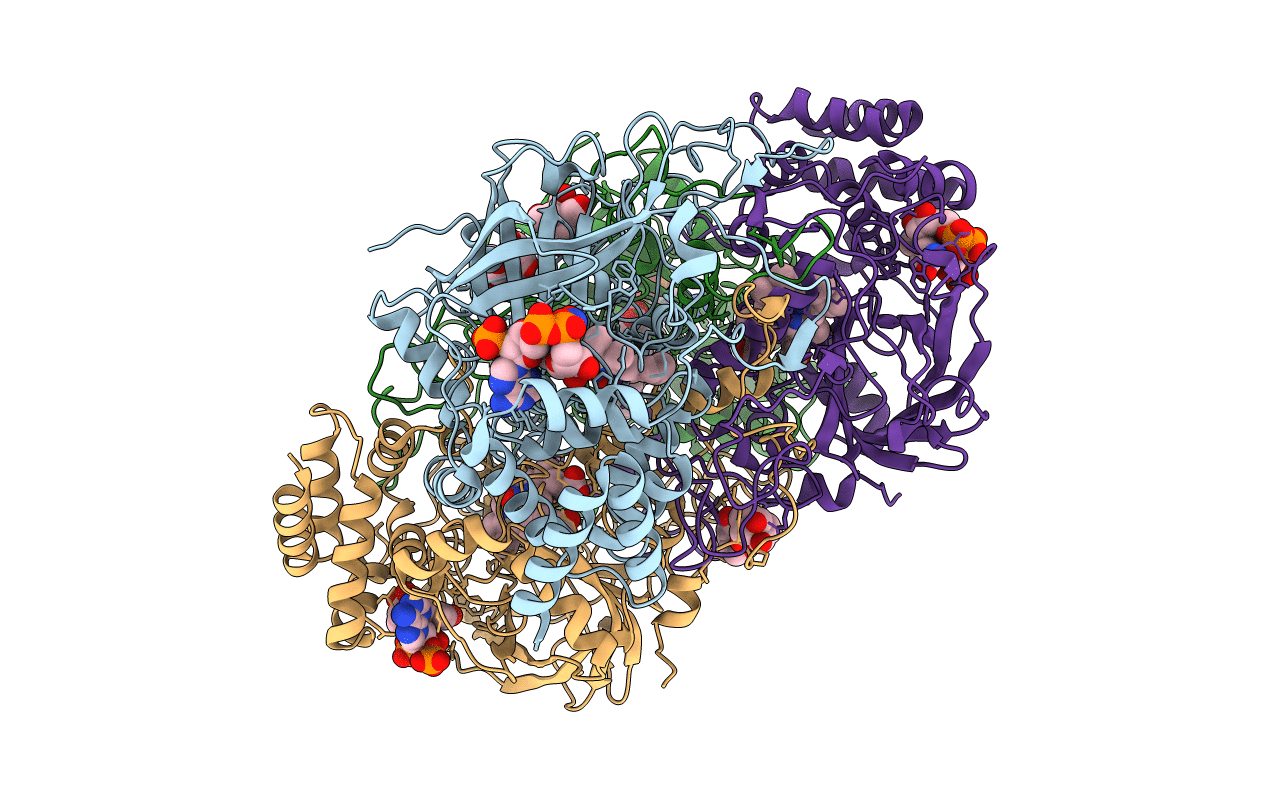 4B7H image