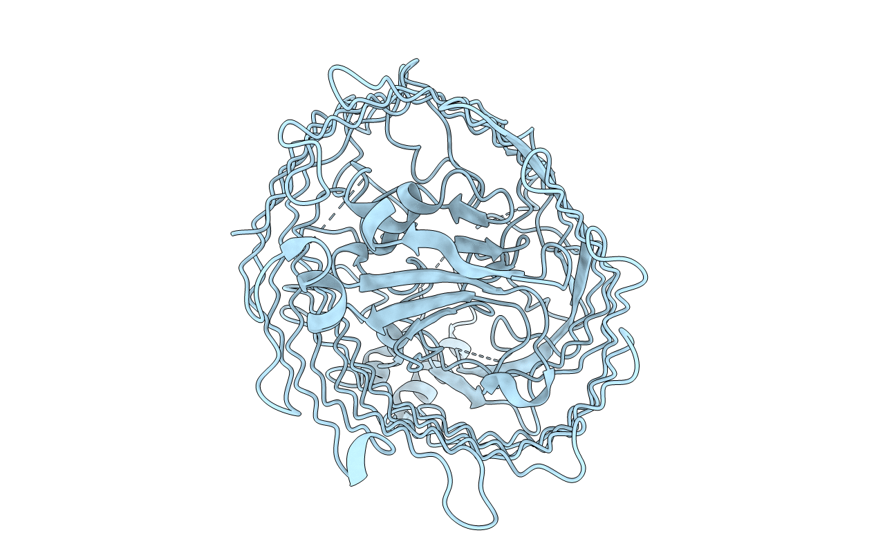 4B7O image