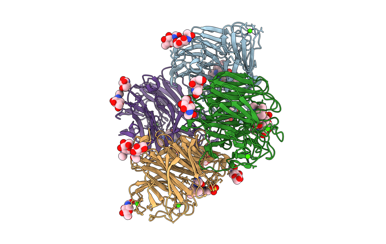 4B7R image
