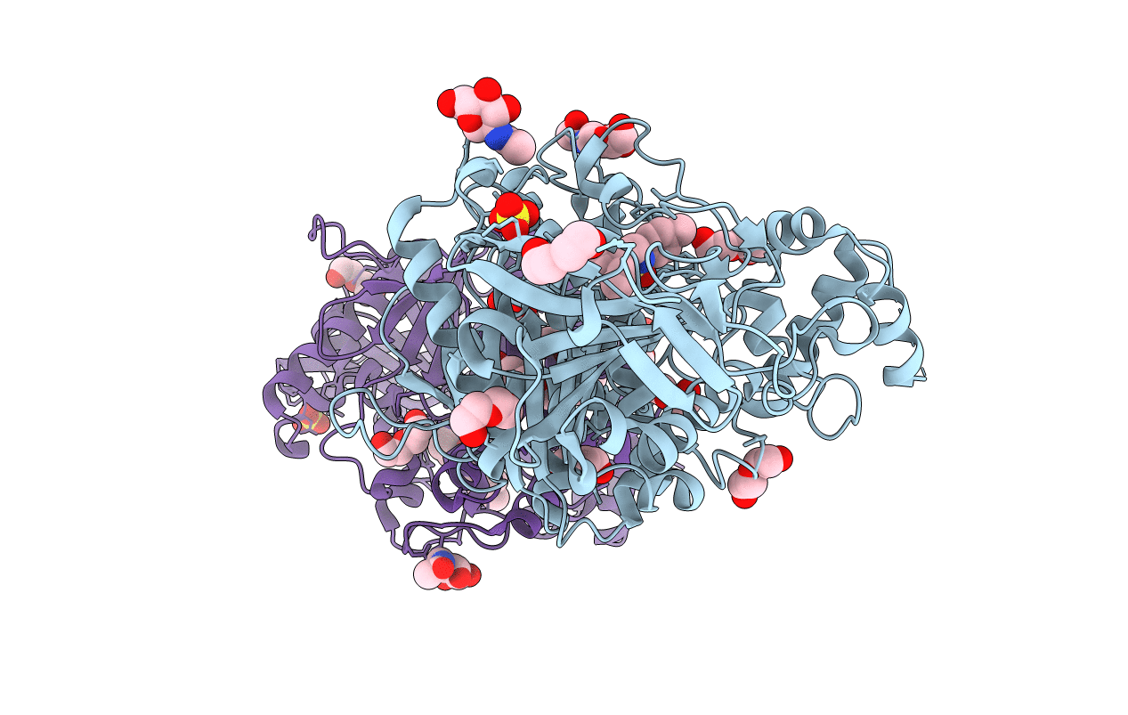 4B7Z image