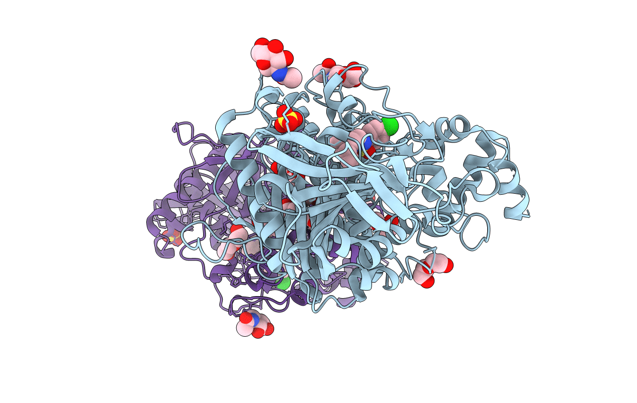 4B81 image