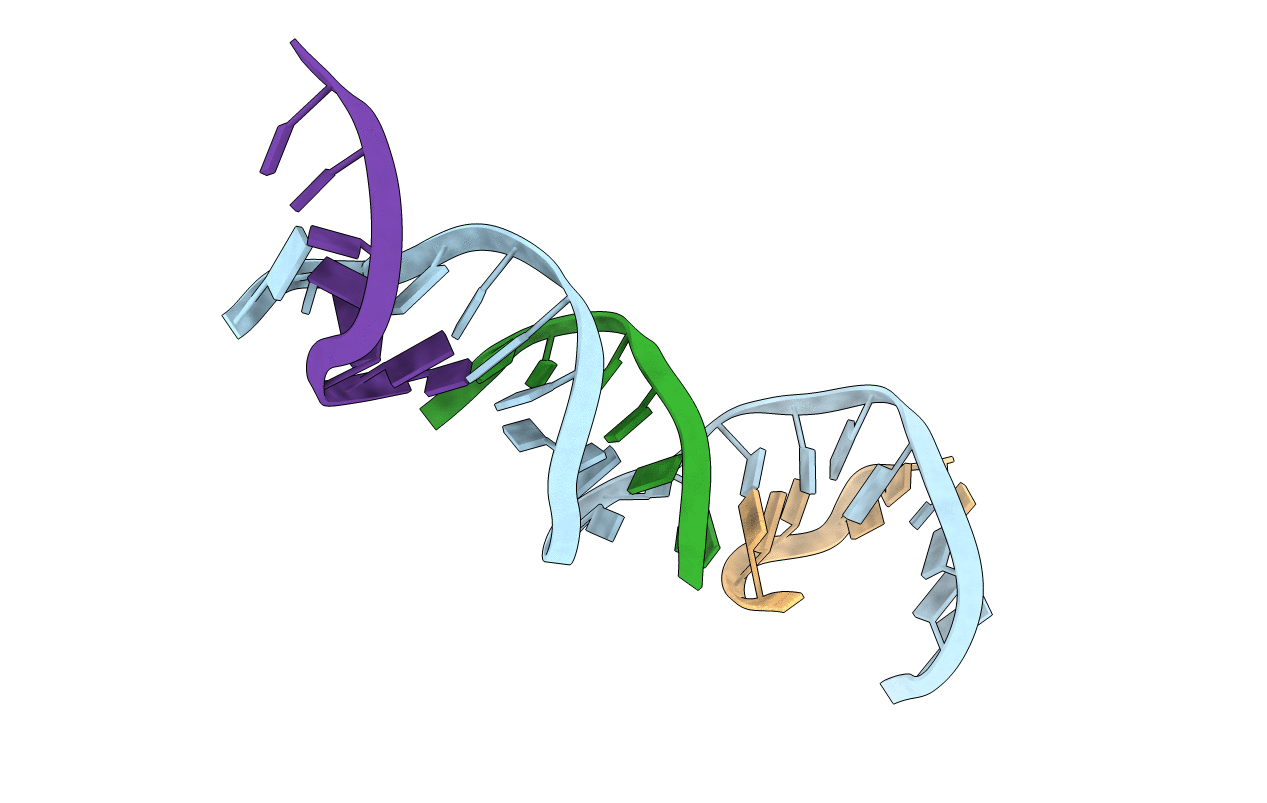 4B8D image