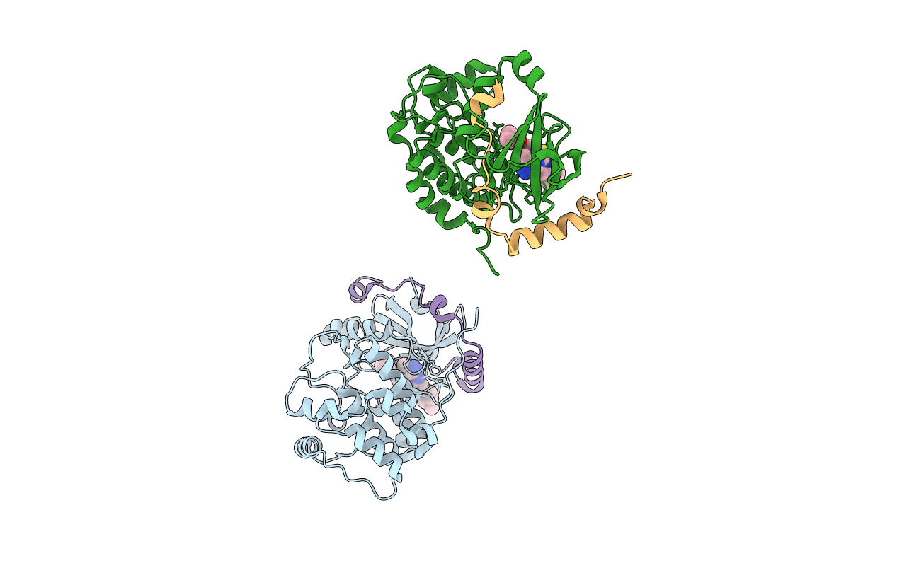 4B8M image