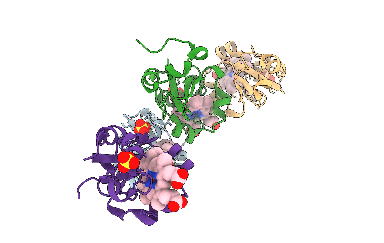 4B8N image