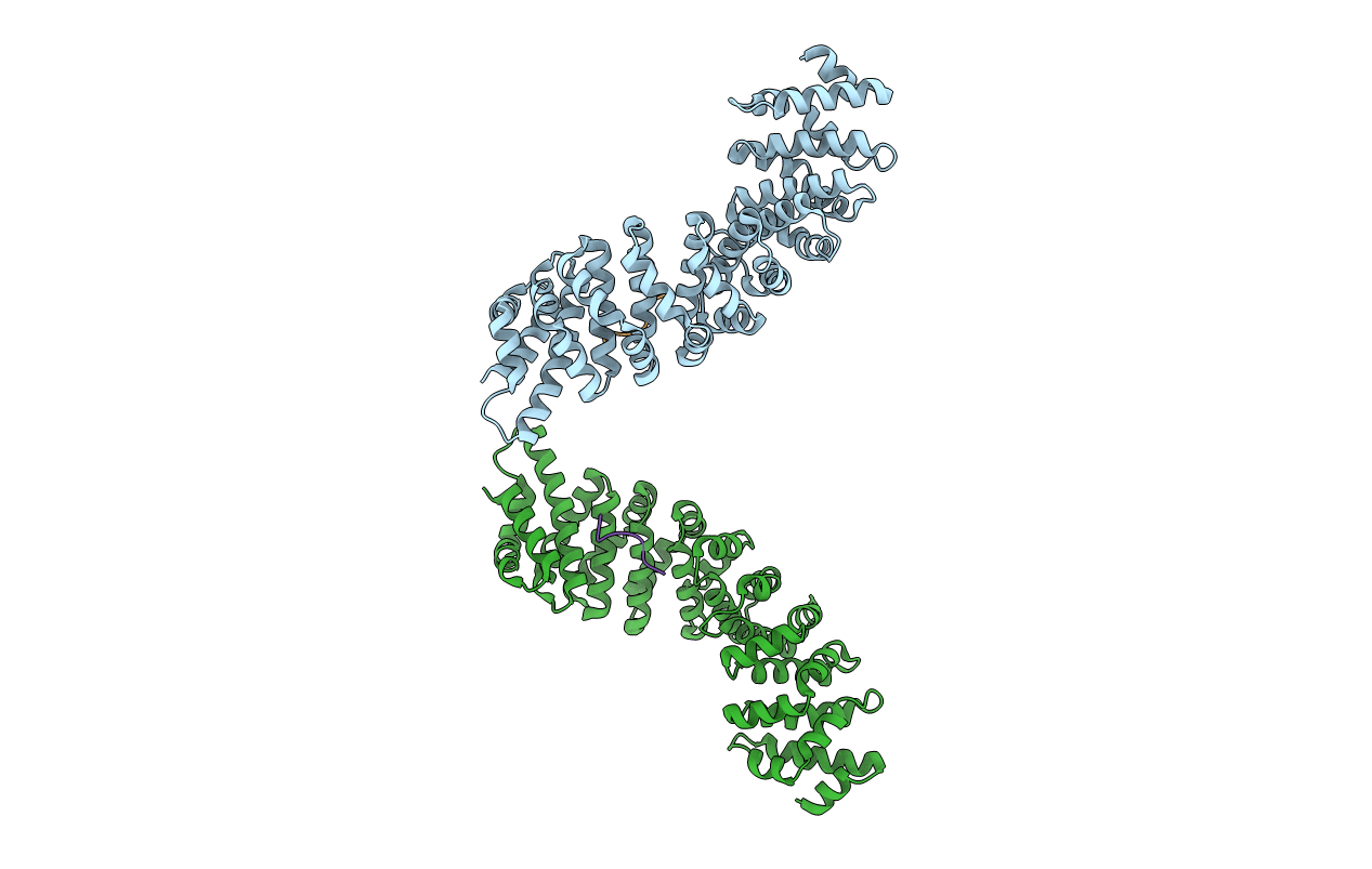 4B8P image