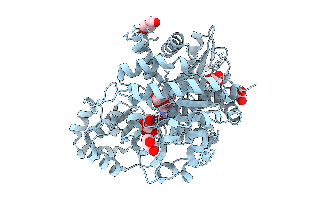 4B8S image