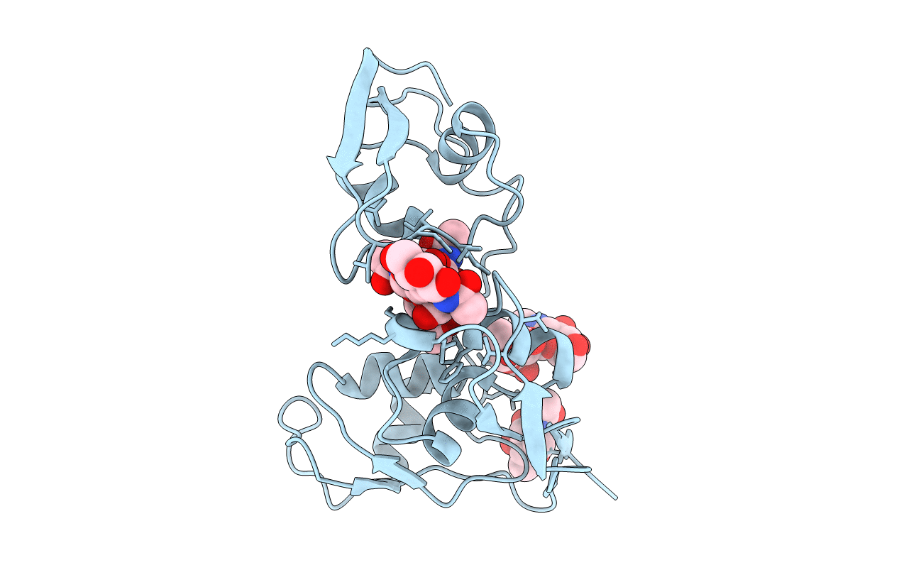 4B8V image