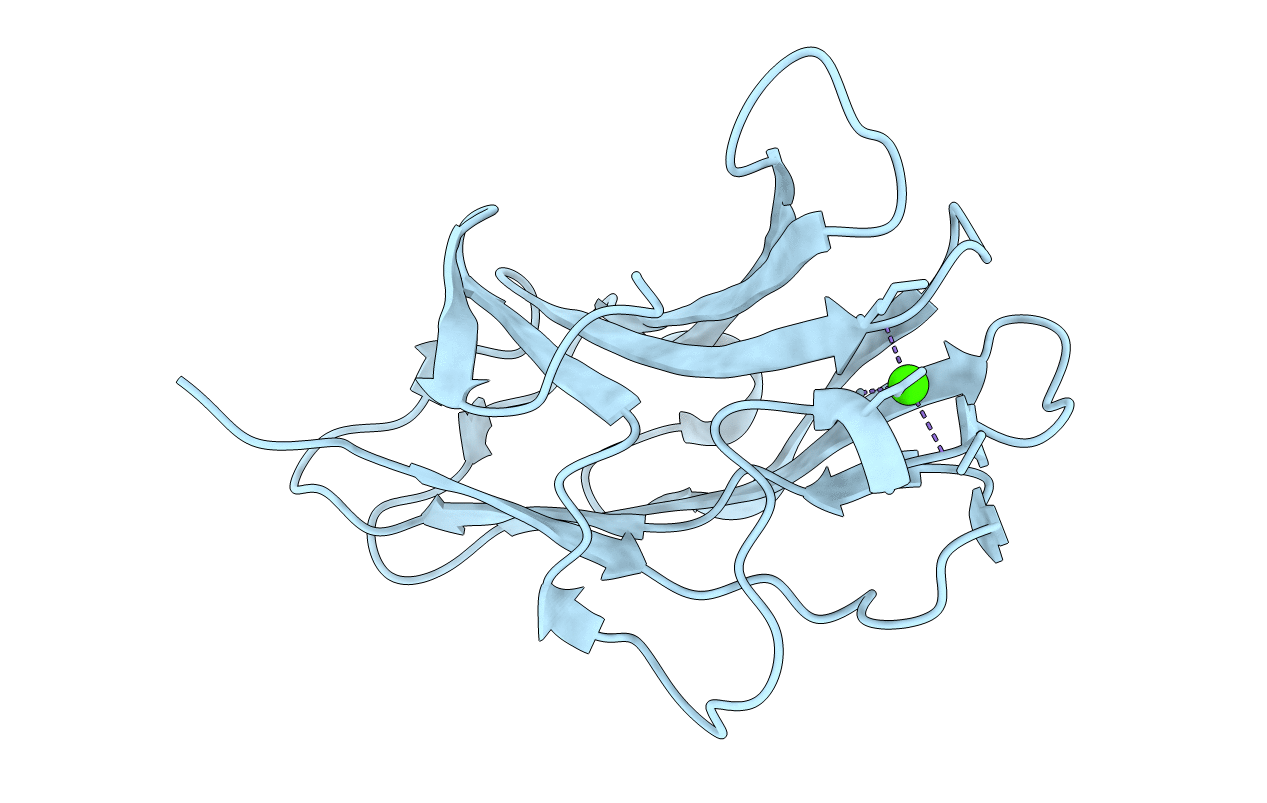 4B96 image