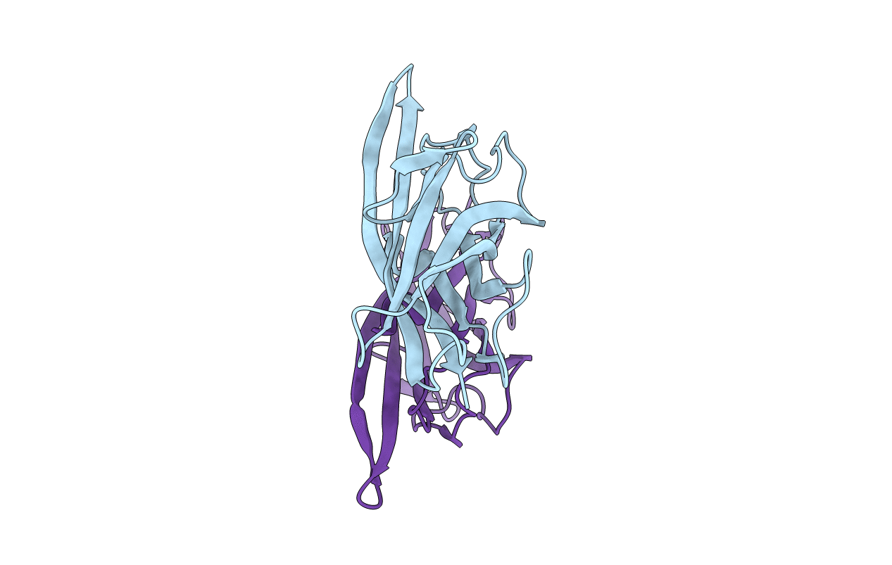 4B9G image