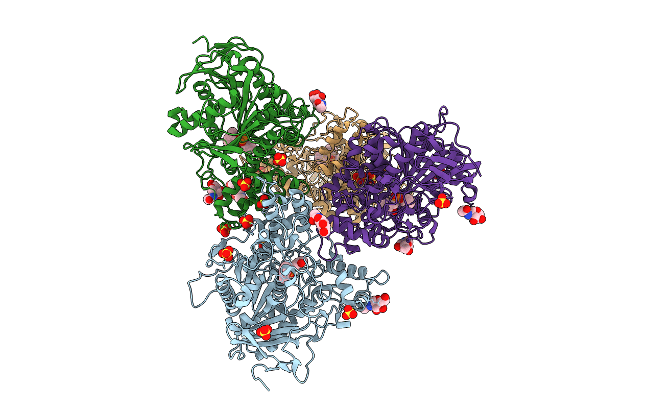 4BC1 image