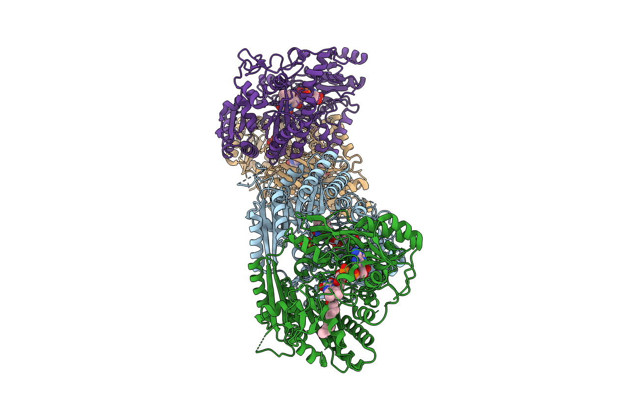 4BC7 image