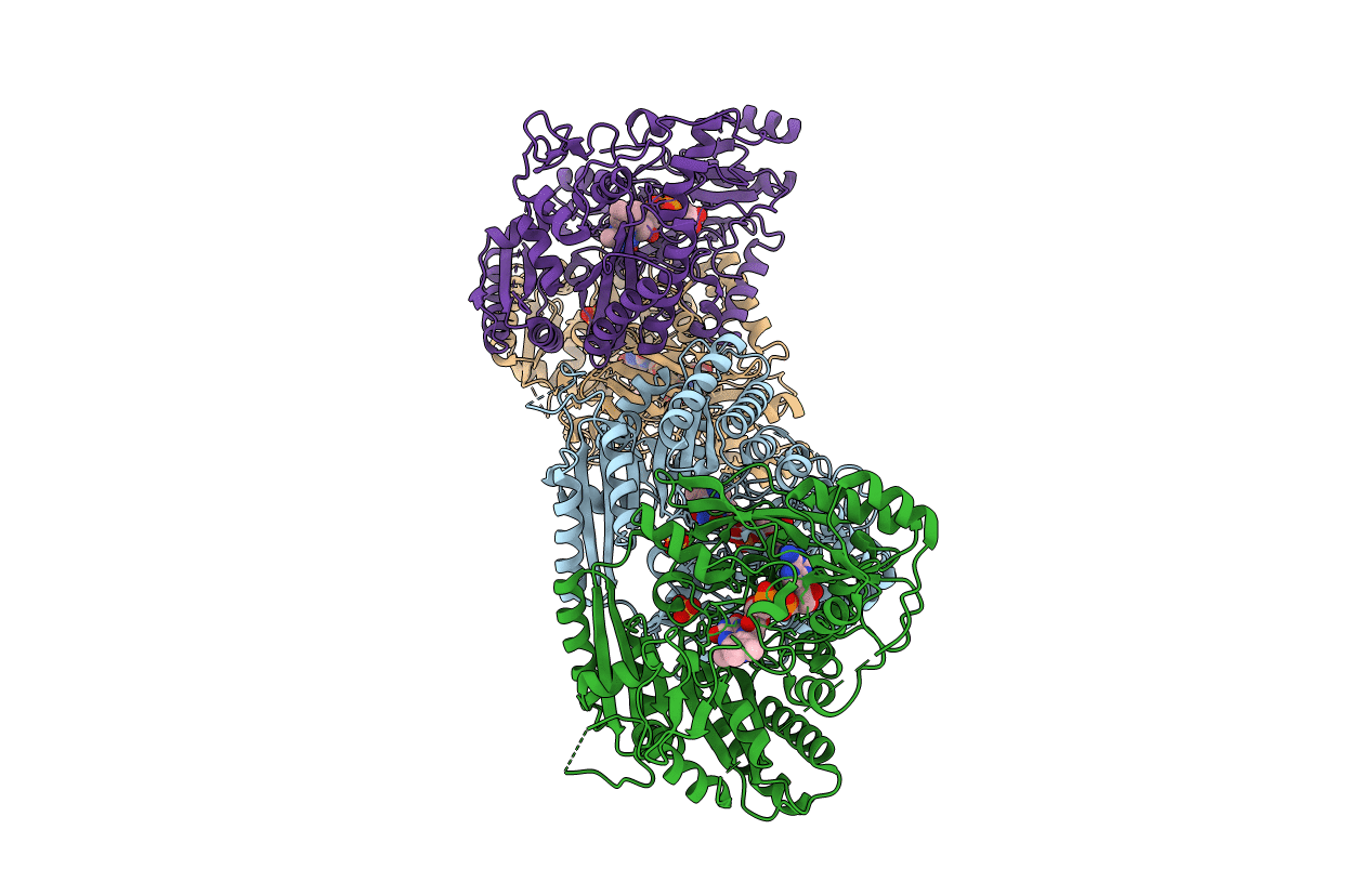 4BC9 image