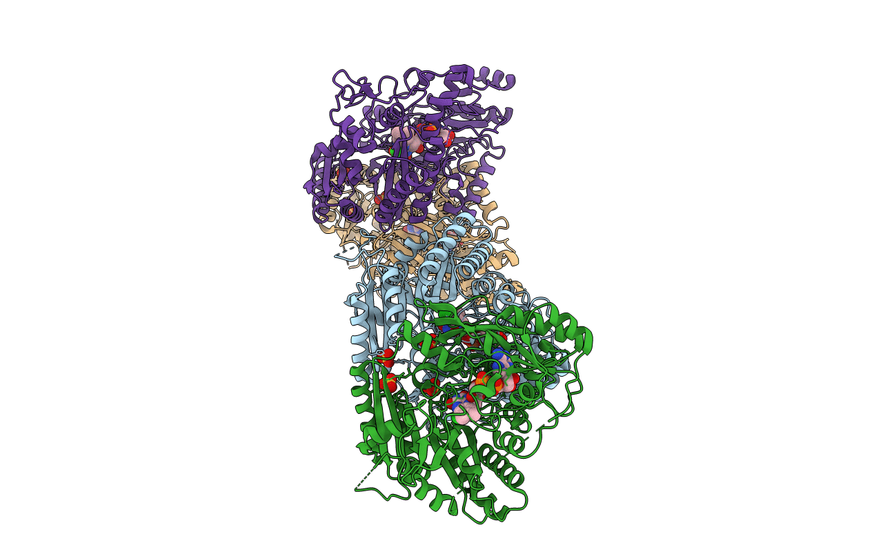 4BCA image