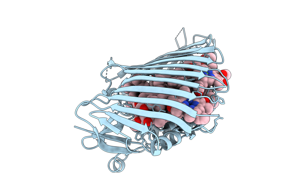 4BCL image