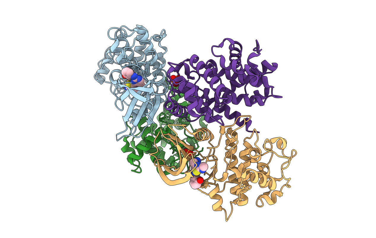 4BCN image