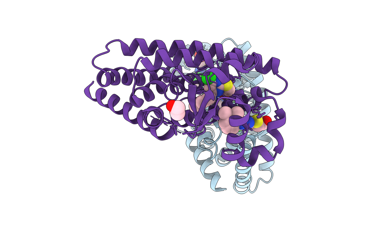 4BCR image