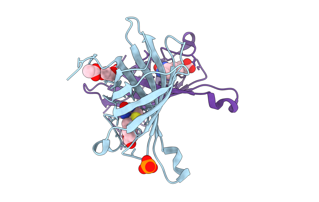 4BCS image