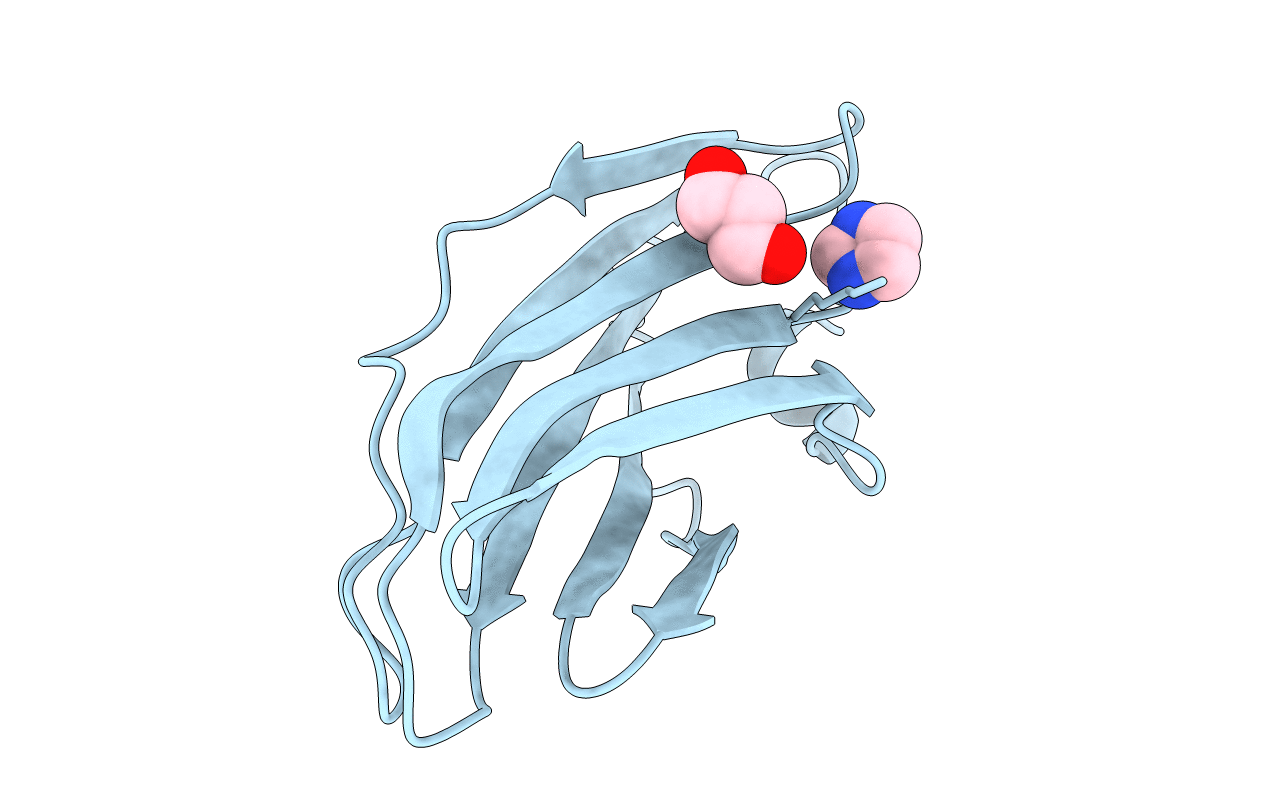 4BCX image