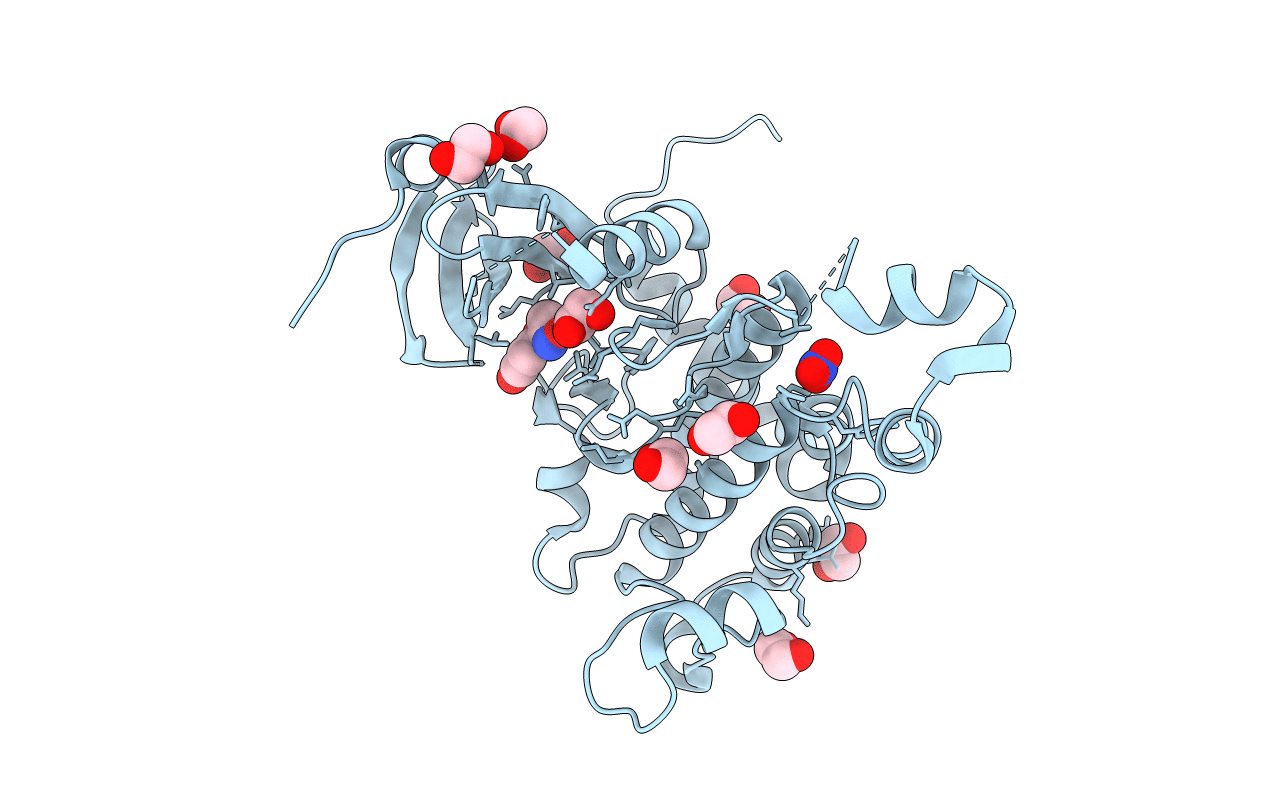4BDB image