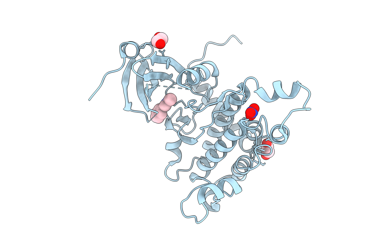 4BDF image