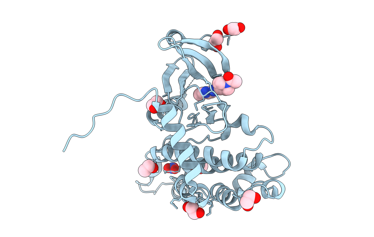 4BDI image