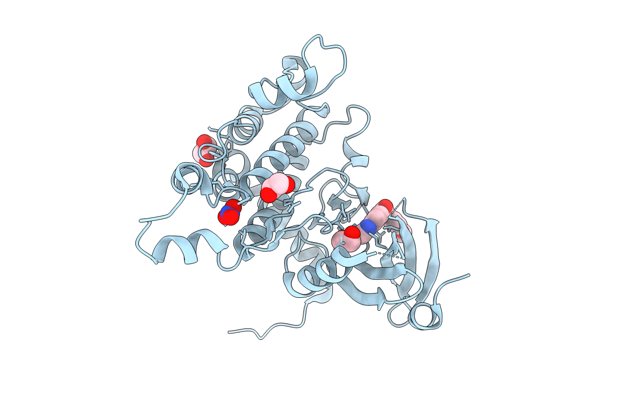 4BDK image