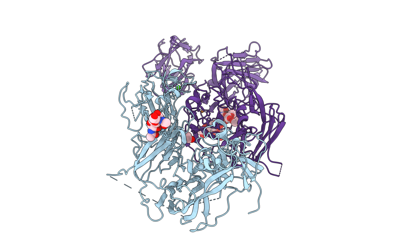 4BDV image